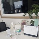 유에스모터스 이미지