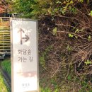 황금코다리여서점 | [단풍 절정 가을 나들이] '곤지암 화담숲'에 간 홍순이 (너~~~무 예뻐요!)