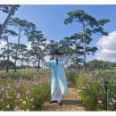 크린도우미 이미지