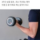 하루 3초 근육운동 얼마나 하면 효과 볼까? 이미지