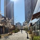 유림부동산개발공인중개사사무소 | 옥정동부동산 유림 편지부동산에서 전하는 아파트 매매와 전세 이야기