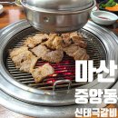 신태극