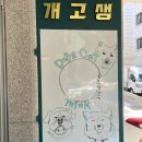 개고생(개와고양이생각)
