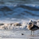 거림모텔 이미지