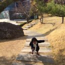 15개월아기와 갈만한 미호박물관