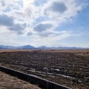 신현2농로 이미지