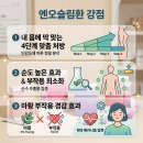 에이스한의원 | 양천구 다이어트한약 성분 효과 엔오슬림환 처방 한의원