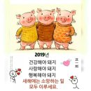홀리졸리 - 수성구 | 홀리졸리