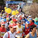 송림연합의원 이미지