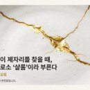 샬롬미디어