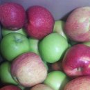 효순농장 이미지