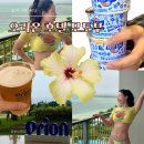 우미세탁소 | 오키나와 북부 숙소 추천 오리온 호텔 모토부 추라우미 수조관 근처