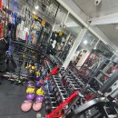 바디엔지니어 이미지