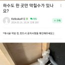 하수도 한곳만 막힐수가 있나요? 이미지