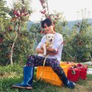 퍼피프린스 이미지