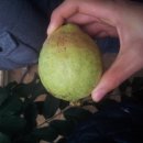 류진농장 이미지