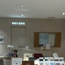 천호청과 | 환절기에 잘 어울리는 바라기 한약국 현대백화점 천호점 도라지청 추천