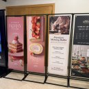 켄싱턴리조트 서귀포점 | 켄싱턴리조트 서귀포 애슐리퀸즈 조식 내돈내산 솔직후기