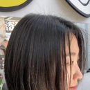 라인컷 이미지
