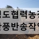 정용농장 이미지