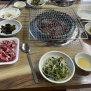 태양구이구이 이미지