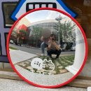 덕진-52 | 여행 | 전주 맛집, 전주 카페, 베이커리 추천 | 미주 김밥, 뭉실베이커리, 카페 콜터, 한벽터널, 덕진공원