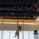 639 | 일산 폴댄스 폴린이 국화의 639회차 수업 후기 초급 이지 스타게이저