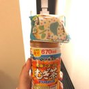 제일여행 Daum카페