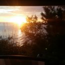 안녕동해야 이미지