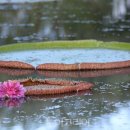 빅토리아 이미지