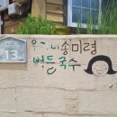 우포에버들국수 이미지