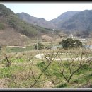 덕치초등학교 이미지