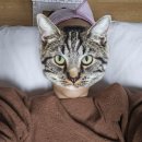 (주)케이디엠 분당지사 | [헬레나맘케어] 산전마사지후기💛 산전산후마사지, 수원 화성 동탄 평택 분당