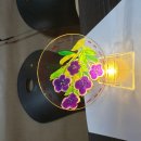 간석4동-8 이미지