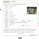 퍼피동물병원 이미지