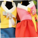 비비드독 이미지