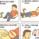 동경세차장 이미지