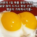 달걀이 우리 몸에 주는 기적 10가지 이미지