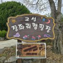 고성 장좌리 캠핑장 | 경남 고성 캠핑장 벚꽃캠핑 추천 장좌리