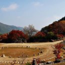 삼성궁 이미지