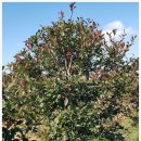 농원농산 이미지