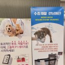 24시 딜라이트 동물의료센터 네이버블로그