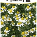 농업회사법인주식회사다농 이미지