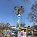 슈퍼키즈 태권도장 | [서울랜드]키 100cm 미만 30개월 아기와 일요일 오픈런 후기