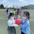 삼향-8 이미지
