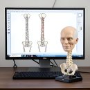 슬기로운정형외과의원 | 허리 삐끗한 거 실화냐? 30대 아재의 슬기로운 정형외과 탐방기