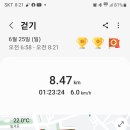박지현의참조은잠자리꿀잠 이미지