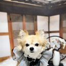 댕그랑댕