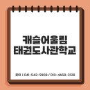 캐슬어울림태권도사관학교 이미지