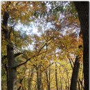 밀양상회 이미지